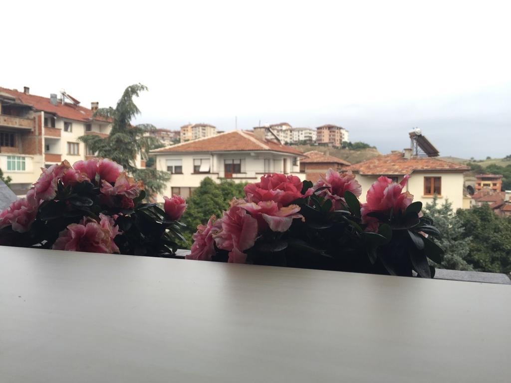 Bora Apartment Сандански Номер фото